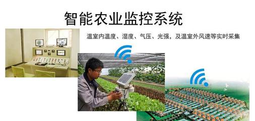 溫度、濕度、光照強度與農業生產 在線氣象監測技術解析